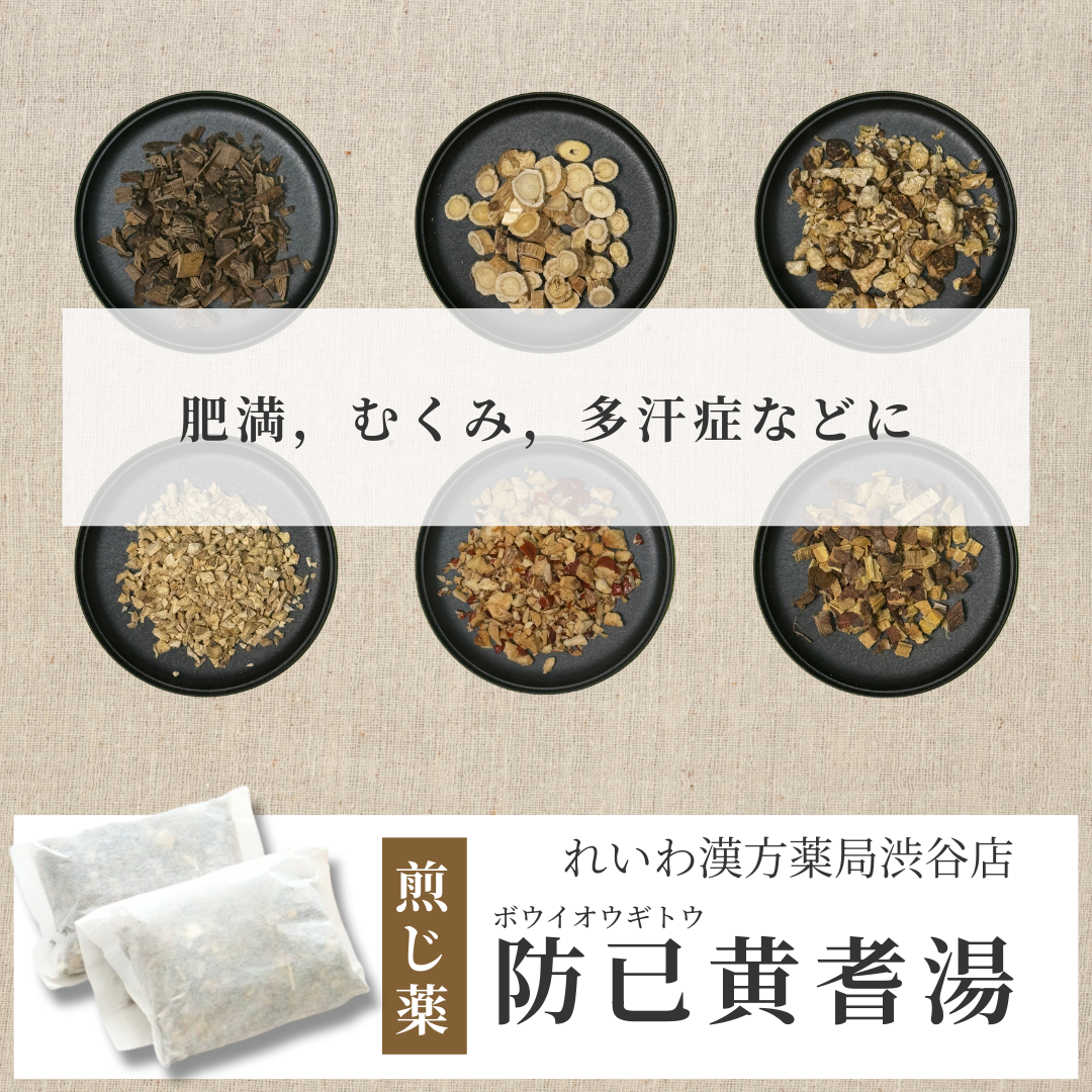 【漢方煎じ薬】防已黄耆湯 ぼういおうぎとう