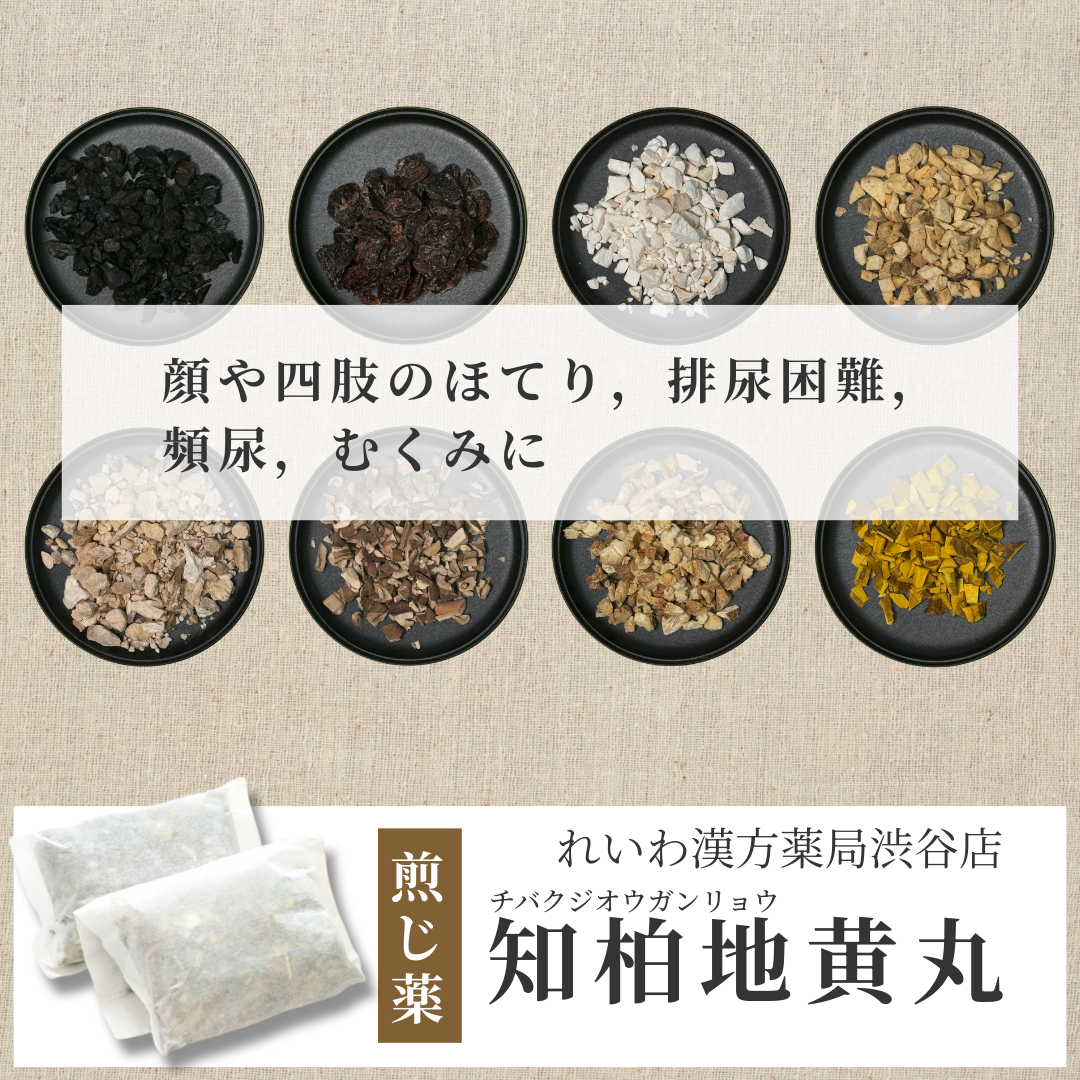 【漢方煎じ薬】知柏地黄丸 ちばくじおうがん