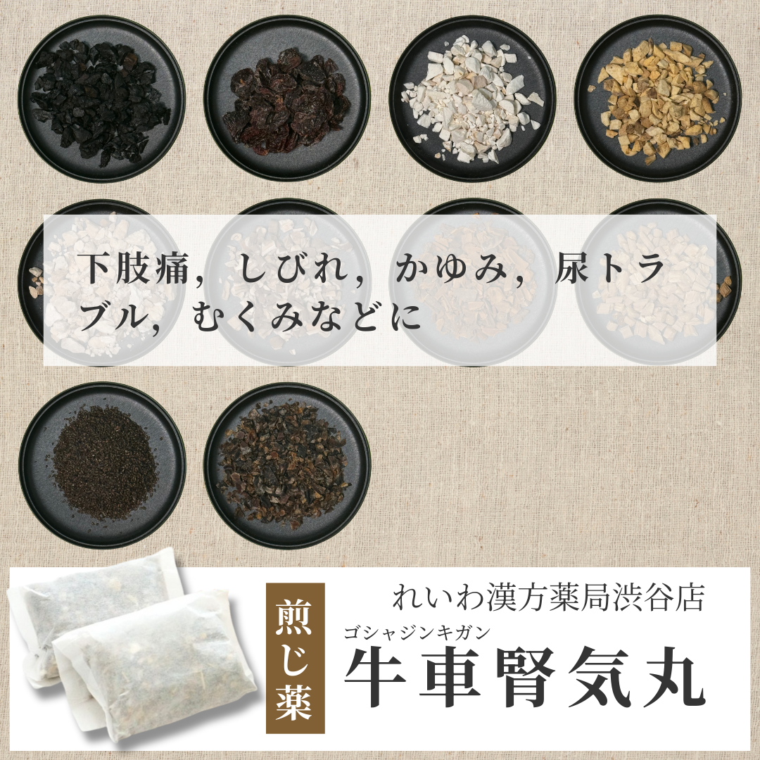 【漢方煎じ薬】牛車腎気丸 ごしゃじんきがん