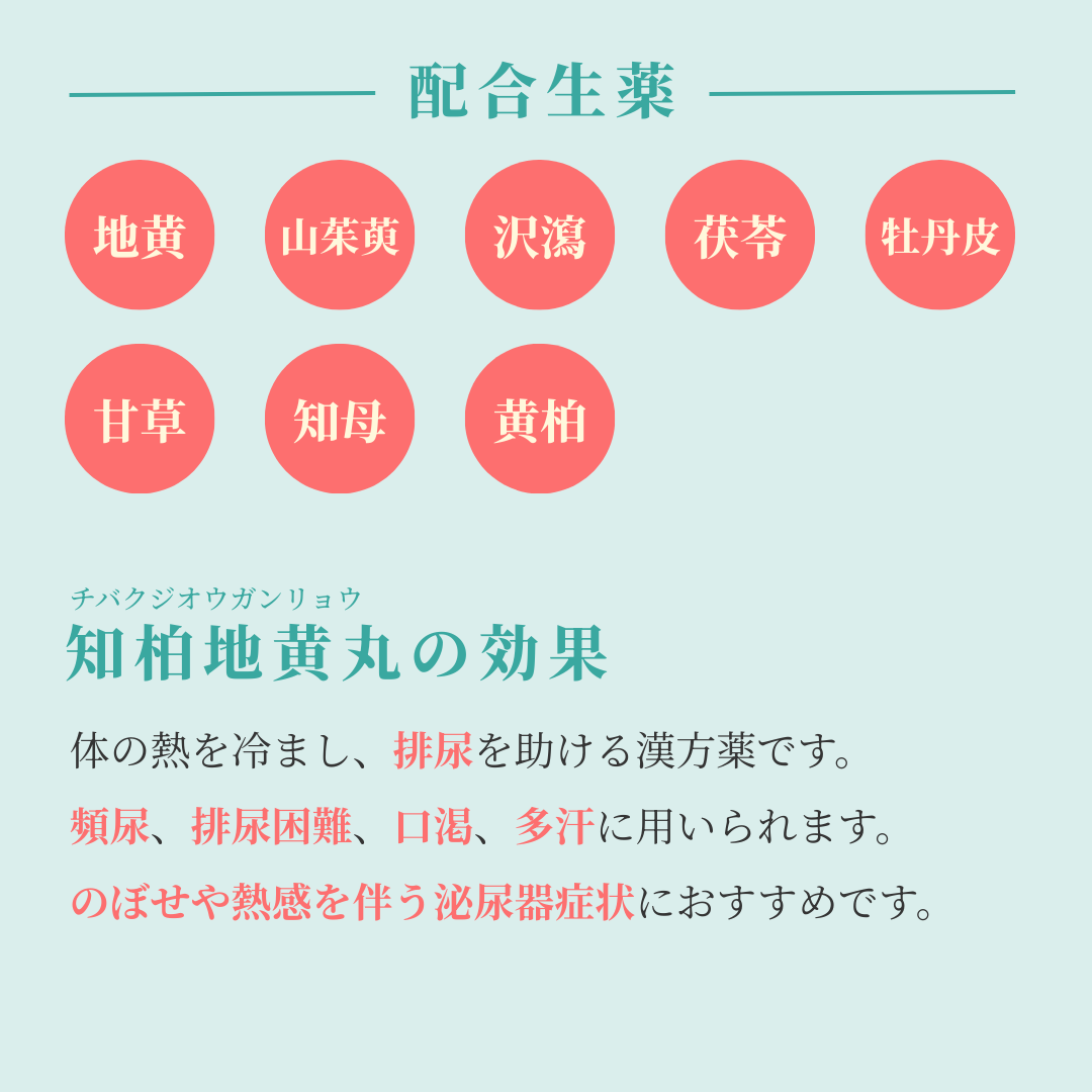 れいわ漢方薬局渋谷店 知柏地黄丸料