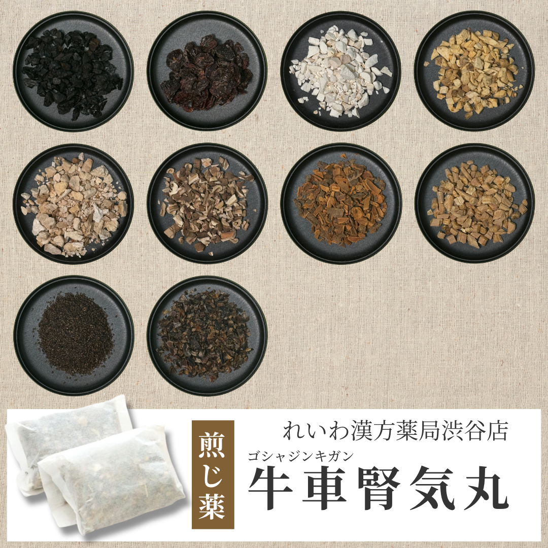 【漢方煎じ薬】牛車腎気丸 ごしゃじんきがん