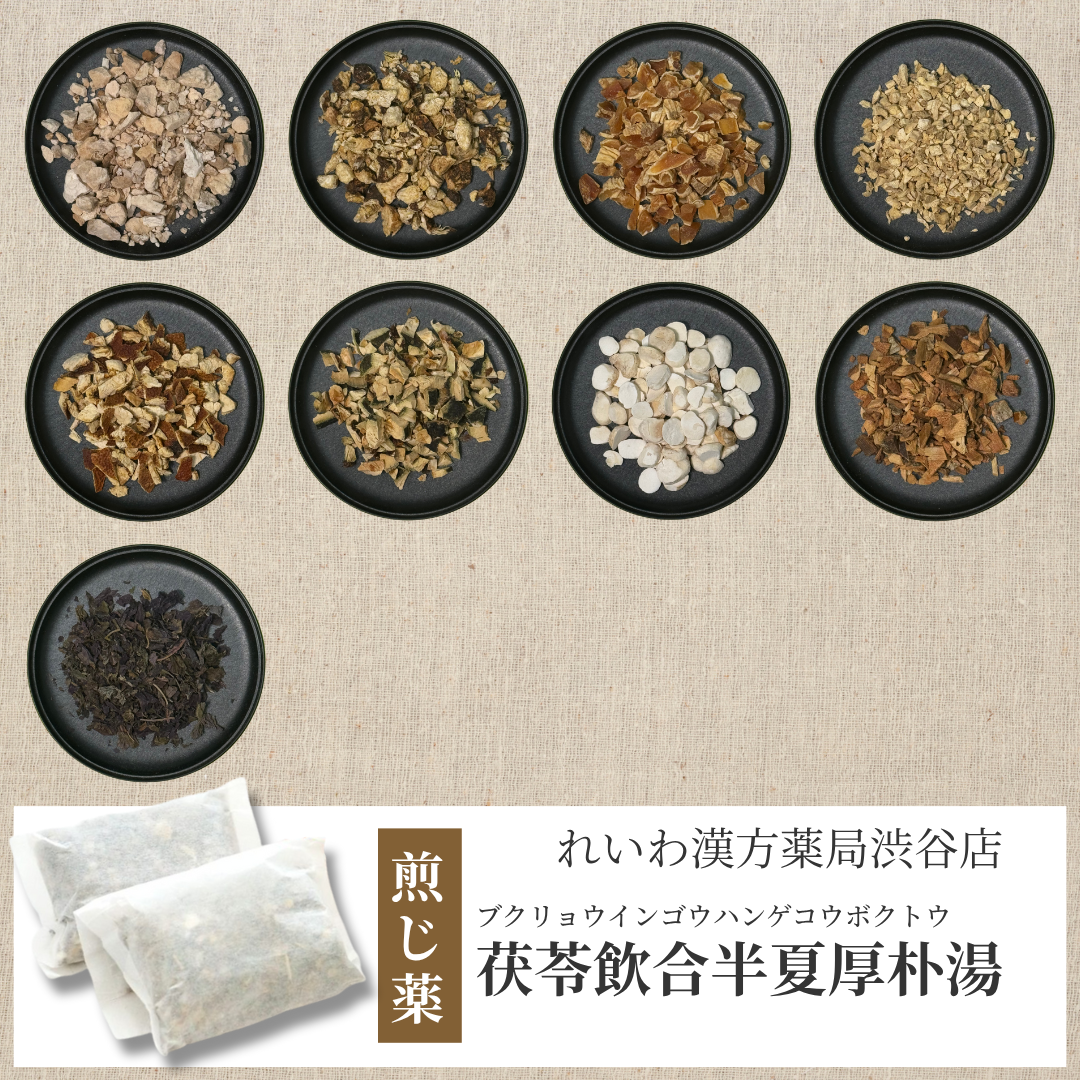 【漢方煎じ薬】茯苓飲合半夏厚朴湯 ぶくりょういんごうはんげこうぼくとう