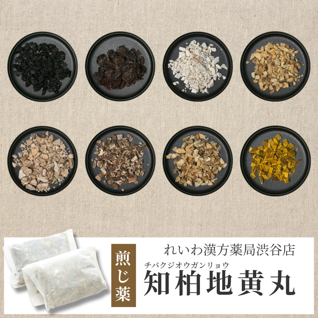【漢方煎じ薬】知柏地黄丸 ちばくじおうがん