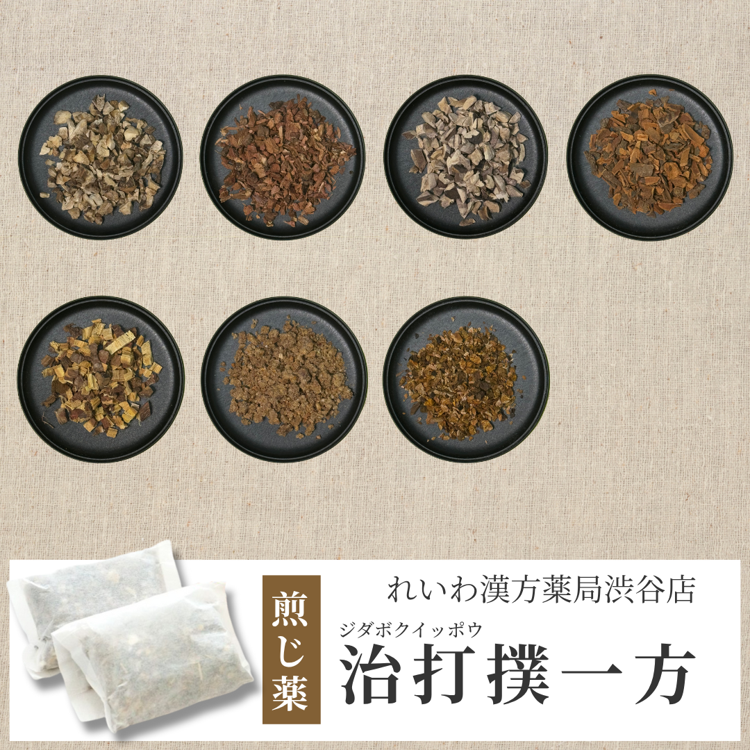 【漢方煎じ薬】治打撲一方 ぢだぼくいっぽう