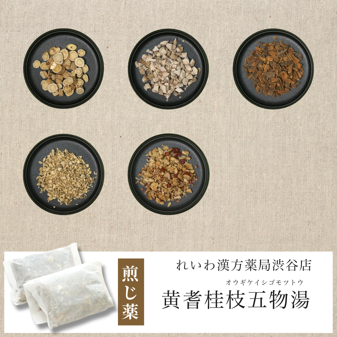 【漢方煎じ薬】黄耆桂枝五物湯 おうぎけいしごもつとう