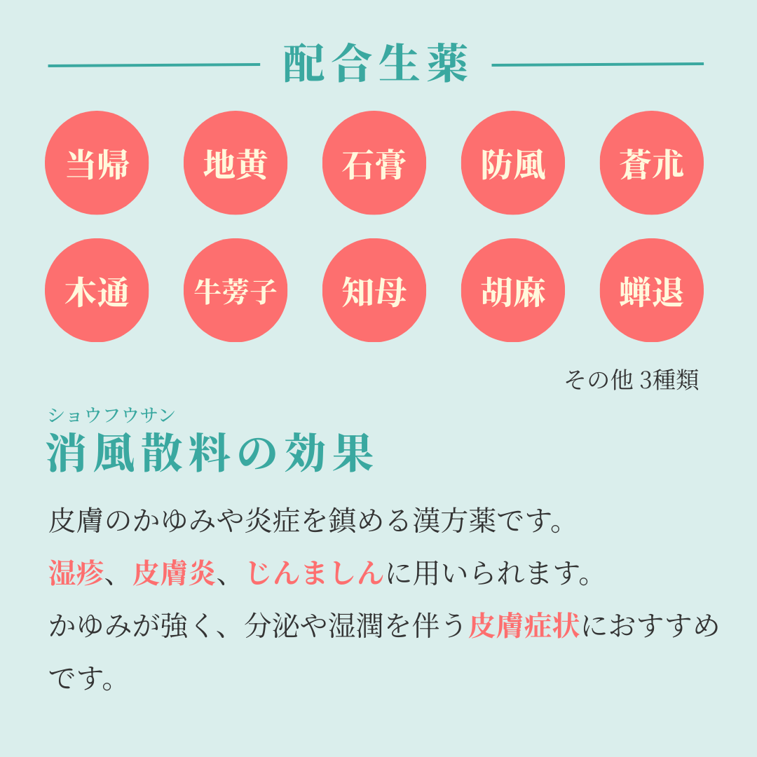 れいわ漢方薬局渋谷店 消風散料
