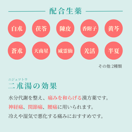 【漢方煎じ薬】二朮湯 にじゅつとう｜四十肩 五十肩 におすすめ 漢方相談 薬剤師調製 れいわ漢方薬局渋谷店 二朮湯