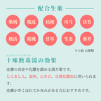 れいわ漢方薬局渋谷店 十味敗毒湯