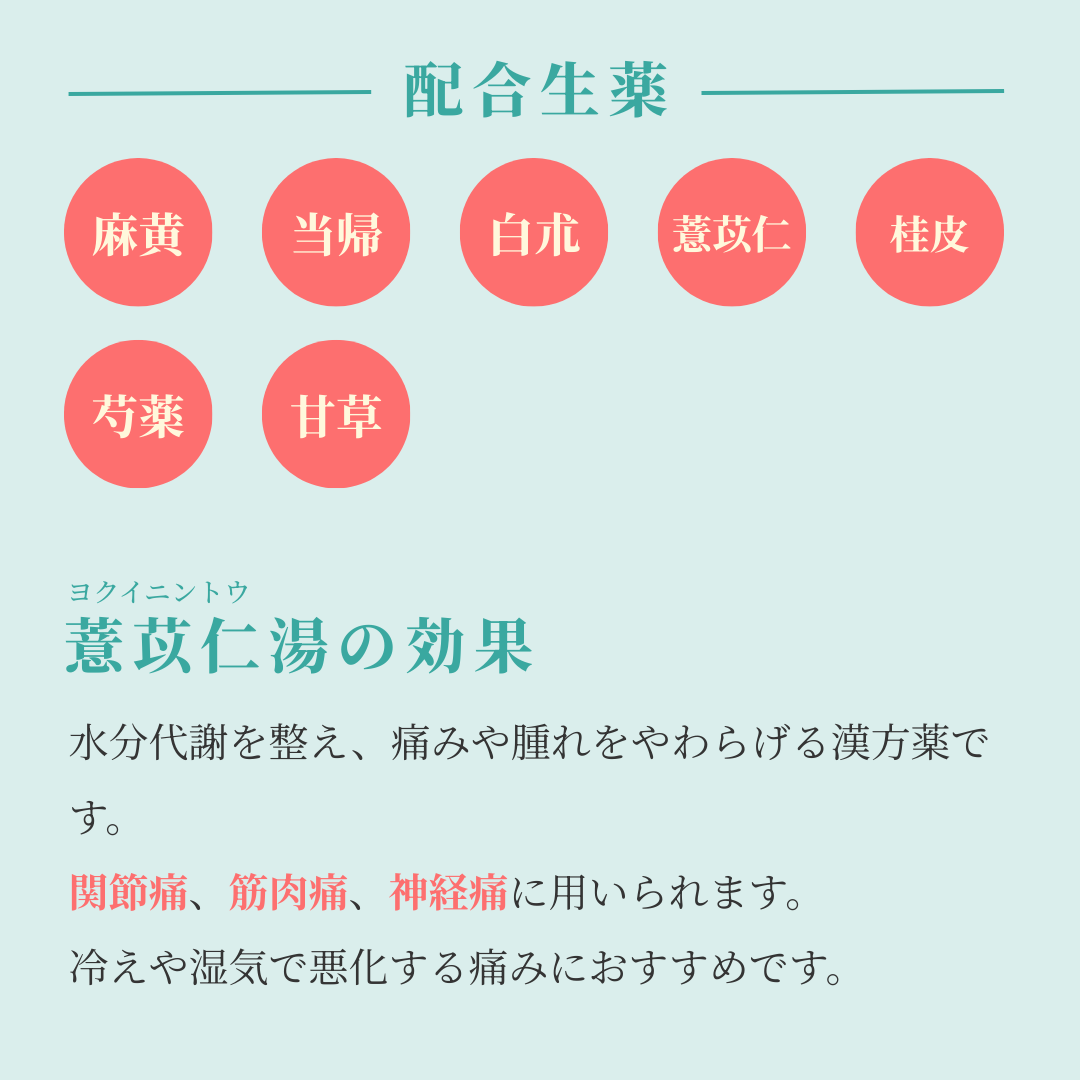 れいわ漢方薬局渋谷店 薏苡仁湯