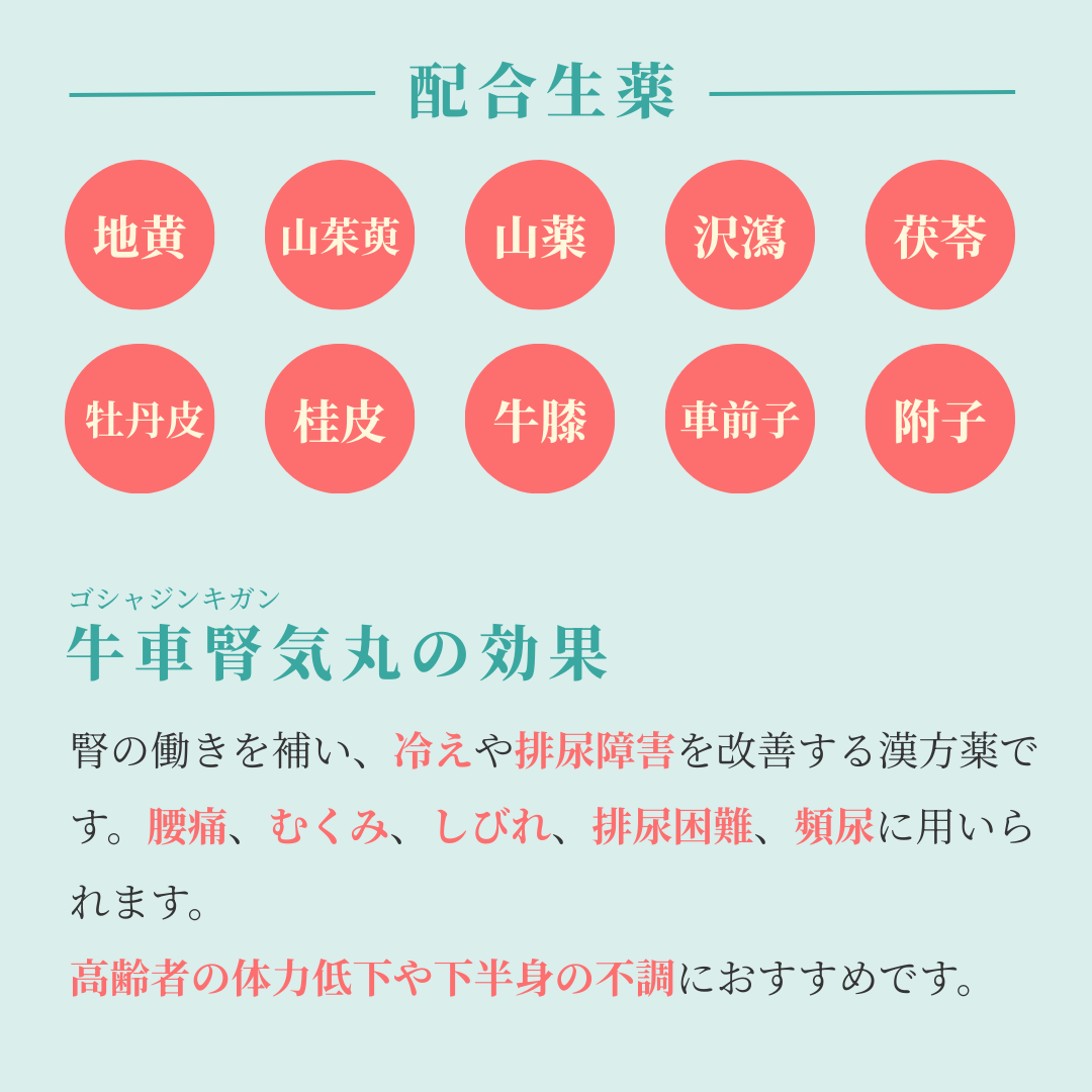 れいわ漢方薬局渋谷店 牛車腎気丸料