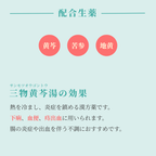 れいわ漢方薬局渋谷店 三物黄芩湯