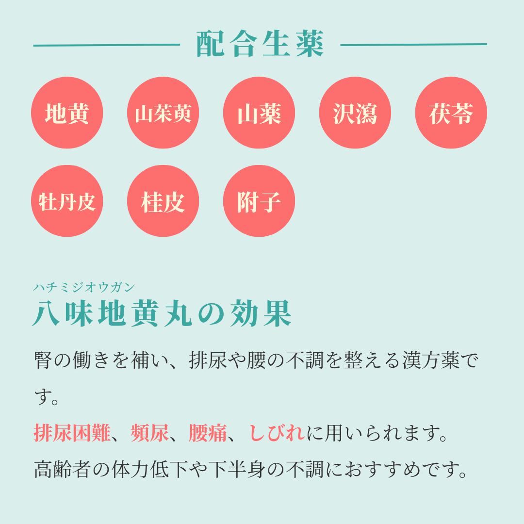 れいわ漢方薬局渋谷店 八味地黄丸料