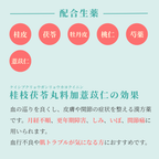 れいわ漢方薬局渋谷店 桂枝茯苓丸料加薏苡仁