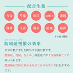 れいわ漢方薬局渋谷店 防風通聖散料
