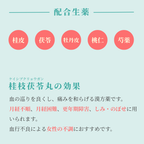 れいわ漢方薬局渋谷店 桂枝茯苓丸料