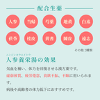 れいわ漢方薬局渋谷店 人参養栄湯