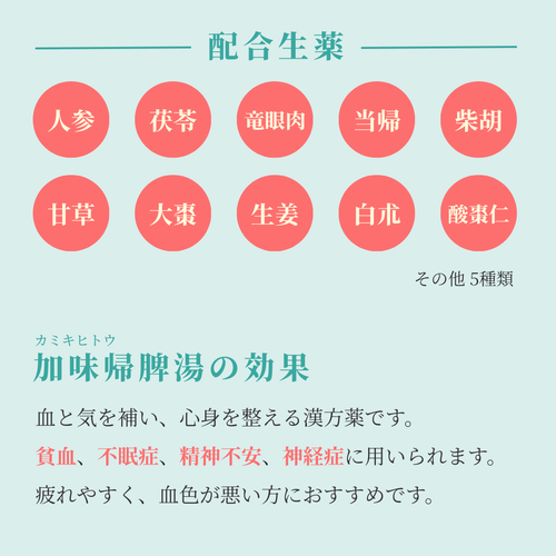 【漢方煎じ薬】加味帰脾湯｜貧血 不眠症 神経症におすすめ れいわ漢方薬局オリジナル煎じ薬 漢方相談 ティーバッグ 煎じ薬 和漢薬 れいわ漢方薬局渋谷店 加味帰脾湯