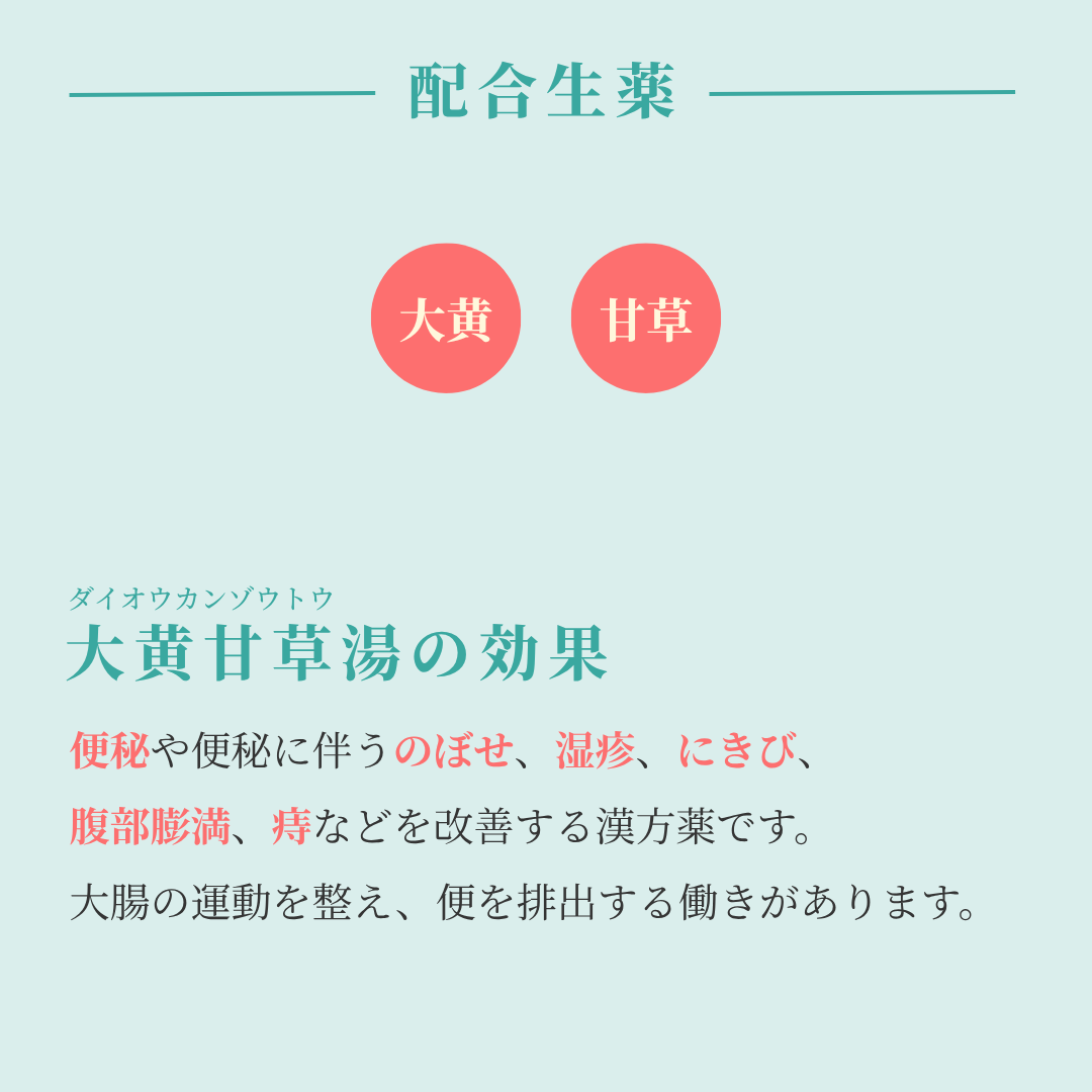 【漢方煎じ薬】大黄甘草湯 だいおうかんぞうとう