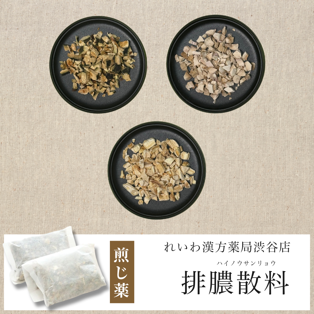 【漢方煎じ薬】排膿散料 はいのうさんりょう