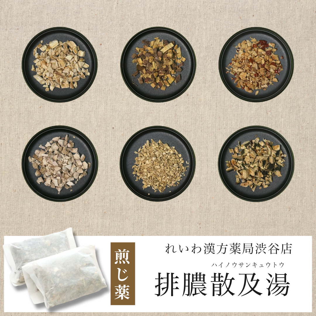 【漢方煎じ薬】排膿散及湯 はいのうさんきゅうとう