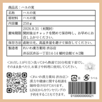 【薬膳】蓮の実 250g  無添加 和漢食材 美容 健康 薬膳茶 薬膳料理 スープ おかゆ デザート