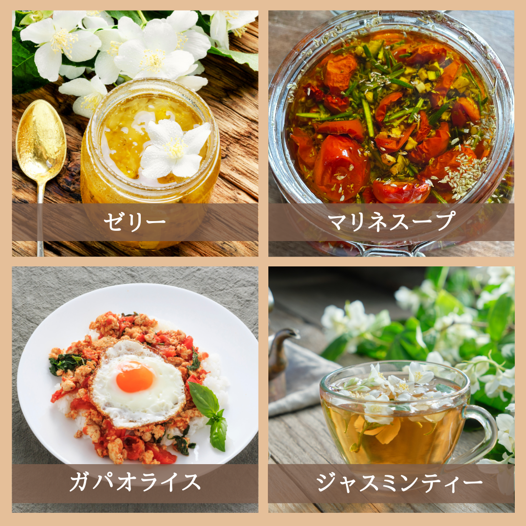 【薬膳】ジャスミン 8g 茉莉花 少量 お試し 花茶 和漢茶 ハーブティー 自然素材 美容 健康 リラックス ブレンドティー