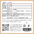 【薬膳】蓮の実 50g  少量 お試し 無添加 和漢食材 美容 健康 薬膳茶 薬膳料理 スープ おかゆ デザート