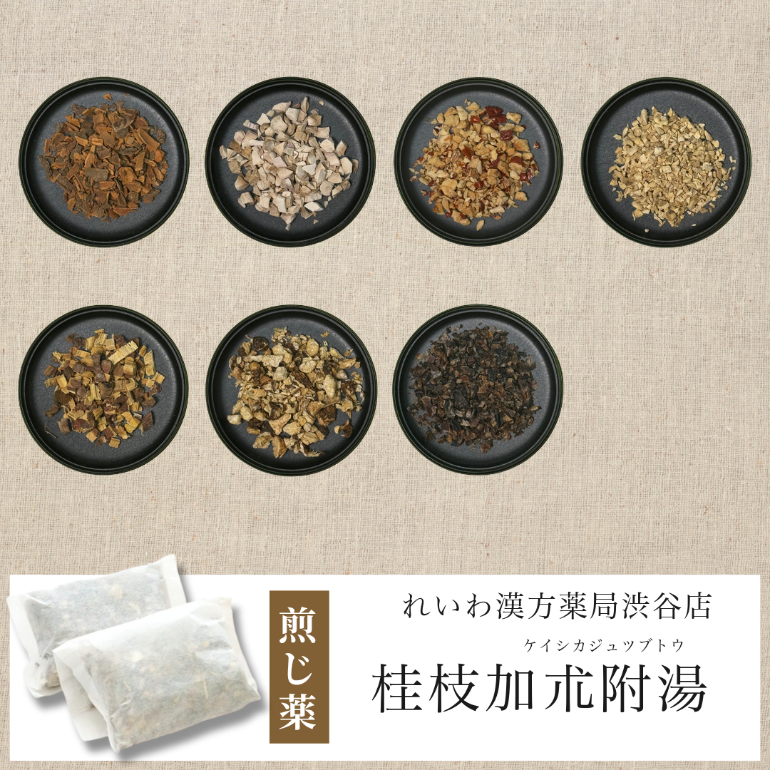 【漢方煎じ薬】桂枝加朮附湯 けいしかじゅつぶとう