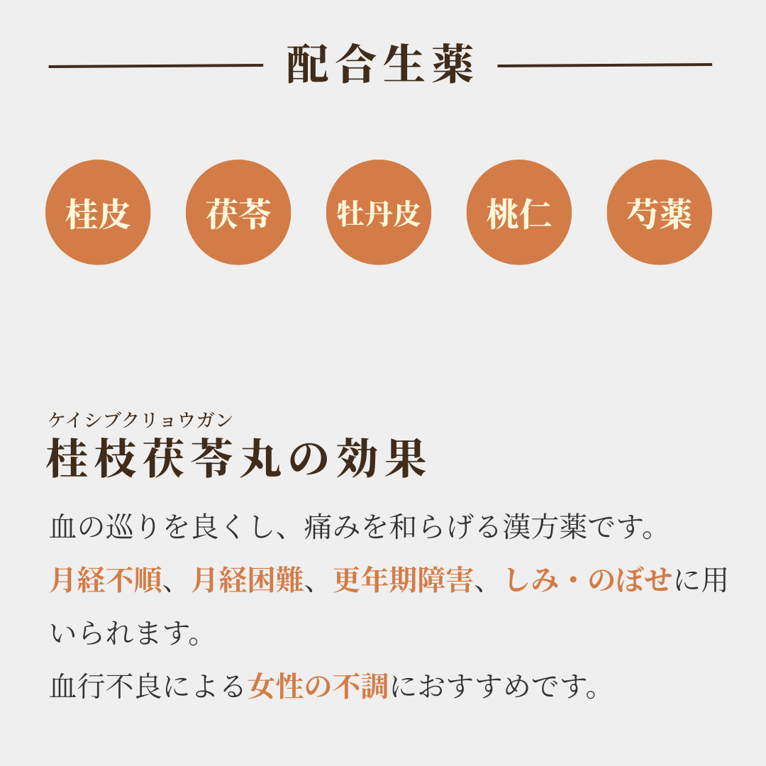 【錠剤】桂枝茯苓丸料 けいしぶくりょうがんりょう ホノミ フッケツEX錠 360錠 20日分