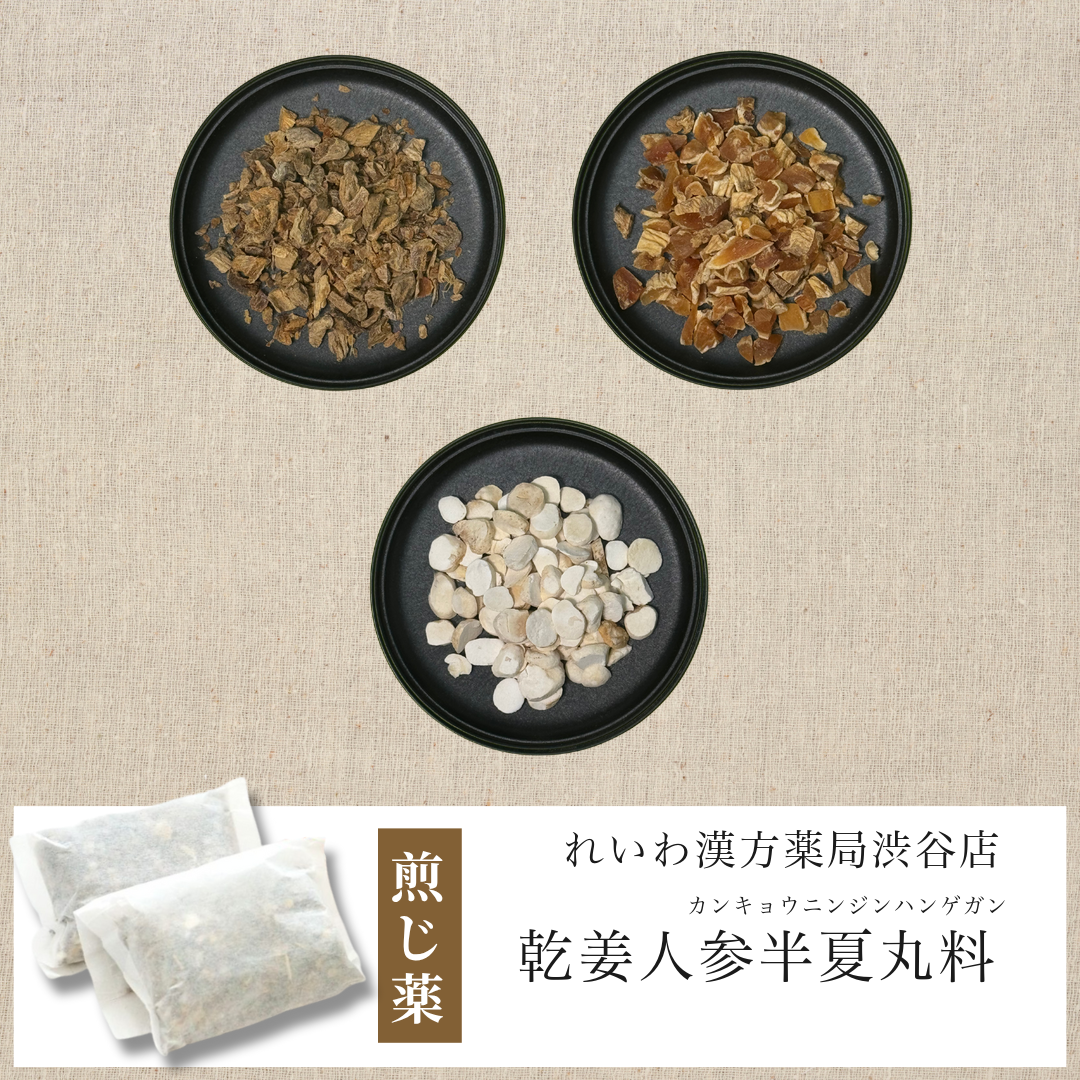 【漢方煎じ薬】乾姜人参半夏丸料 かんきょうにんじんはんげがん